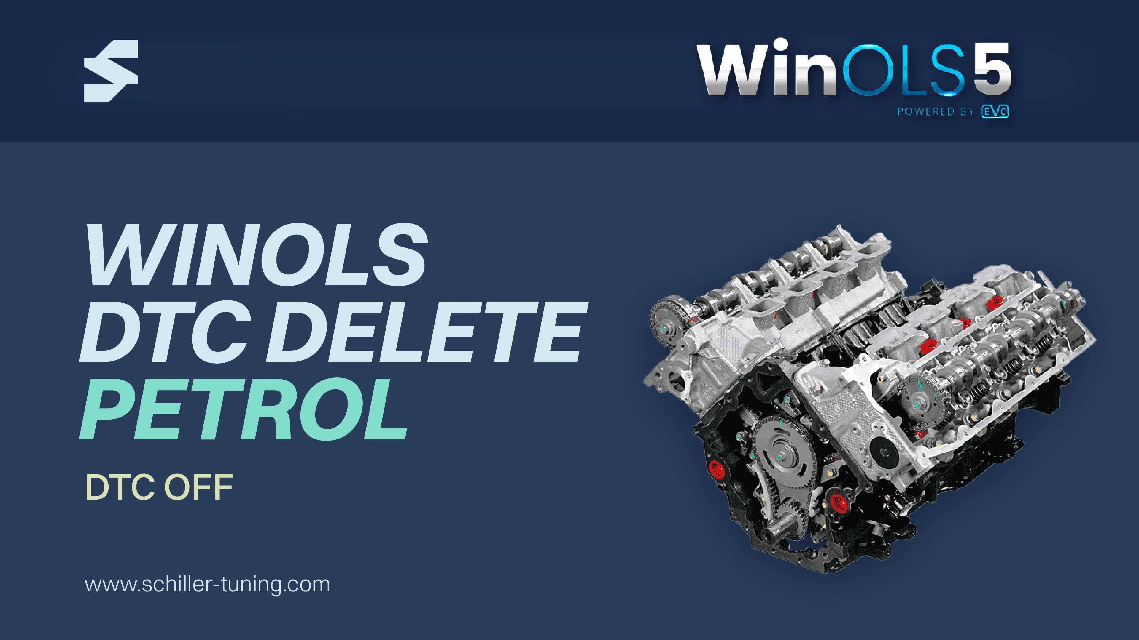 WinOLS DTC Removal/Fault Code Delete Course for Gasoline ECUs