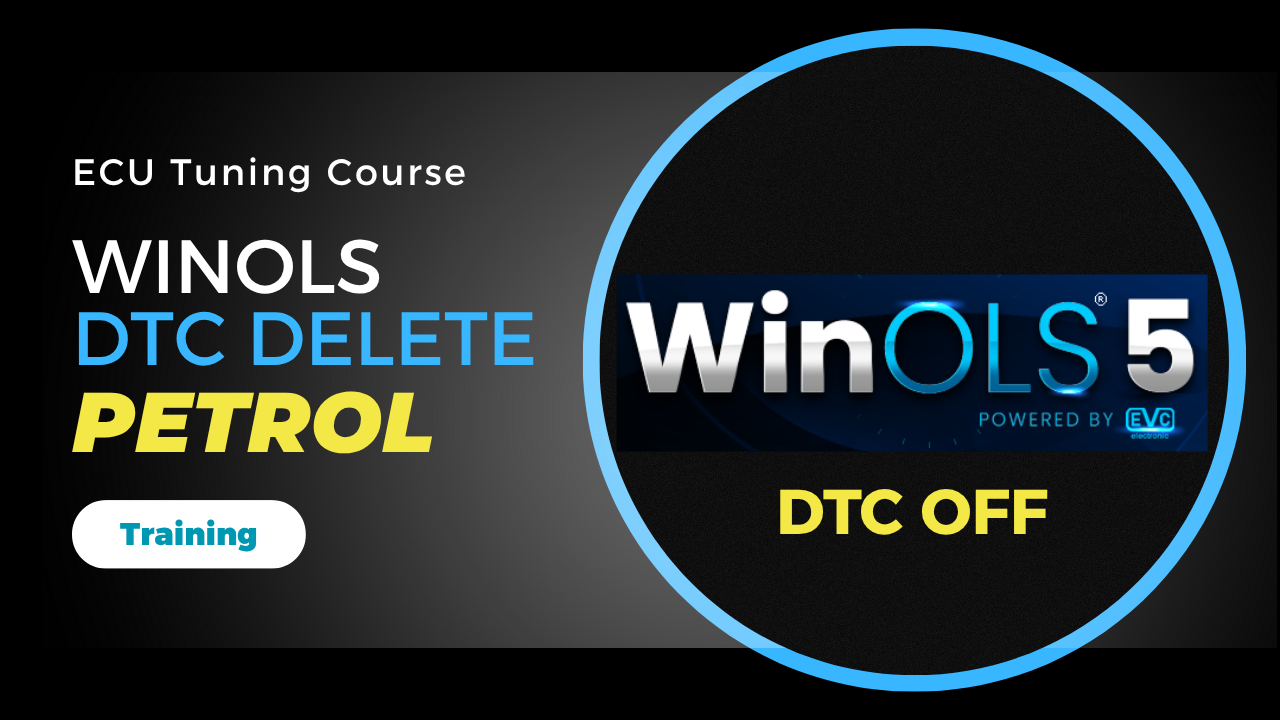 WinOLS DTC Removal/Fault Code Delete Course for Gasoline ECUs