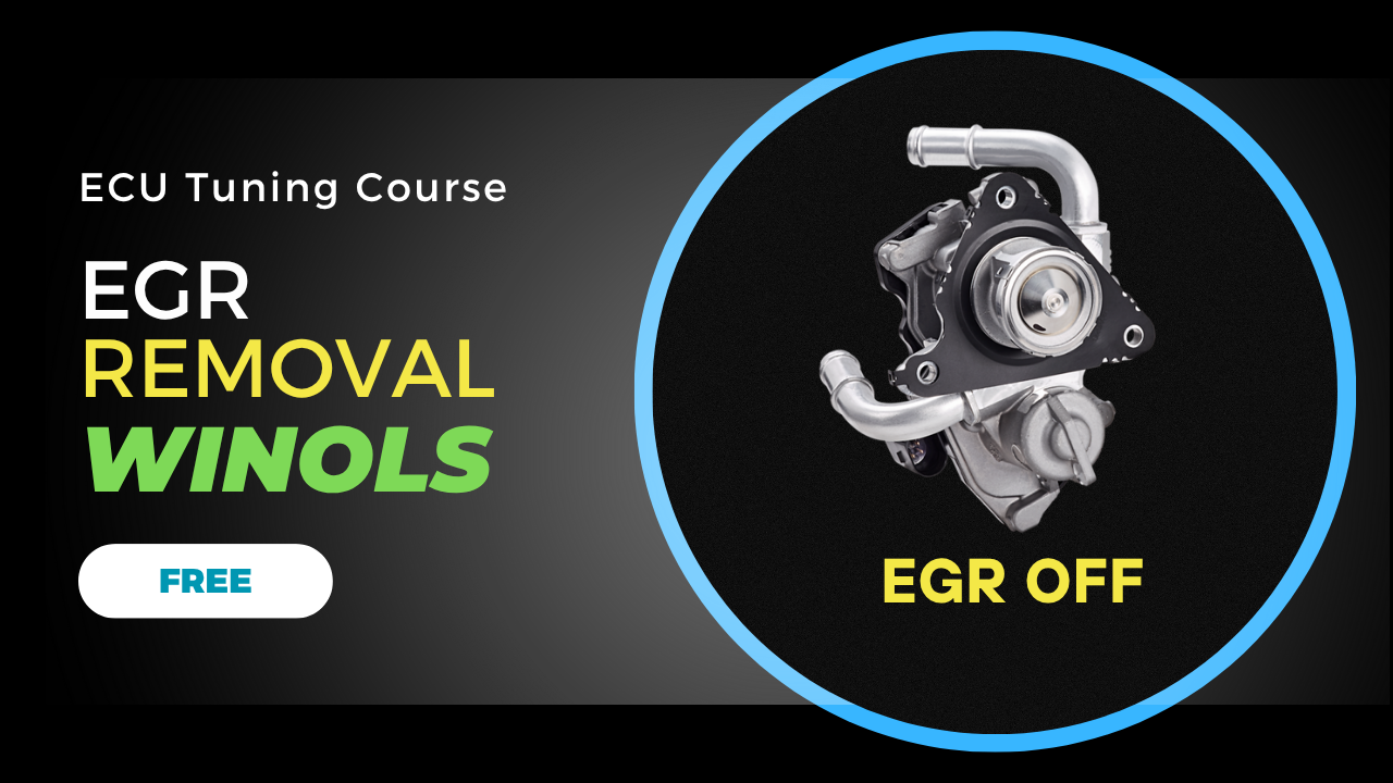 Complete EGR Delete Tutorial Using WinOLS | Bosch EDC16C34