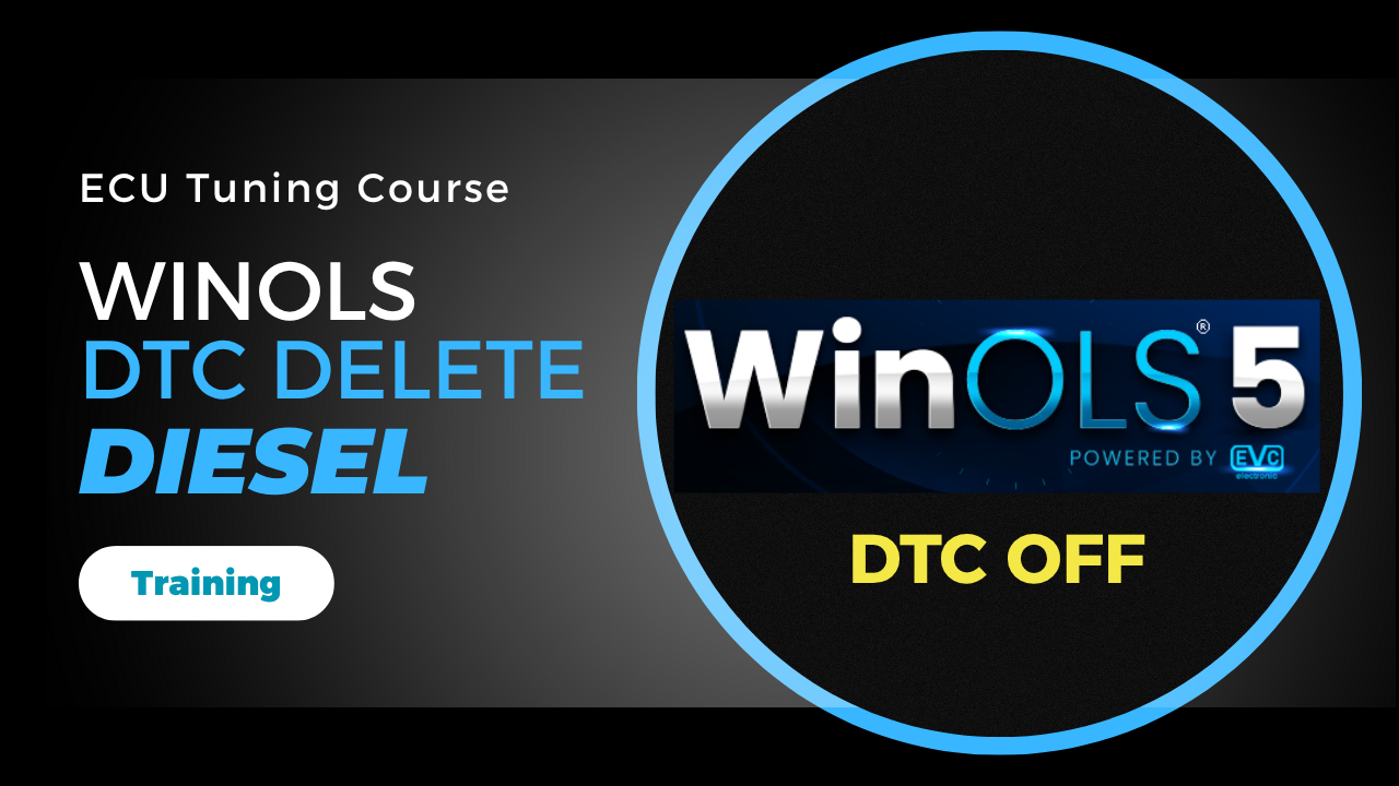Diesel DTC Off Training Course – Learn WinOLS ECU Fault Code Deletion