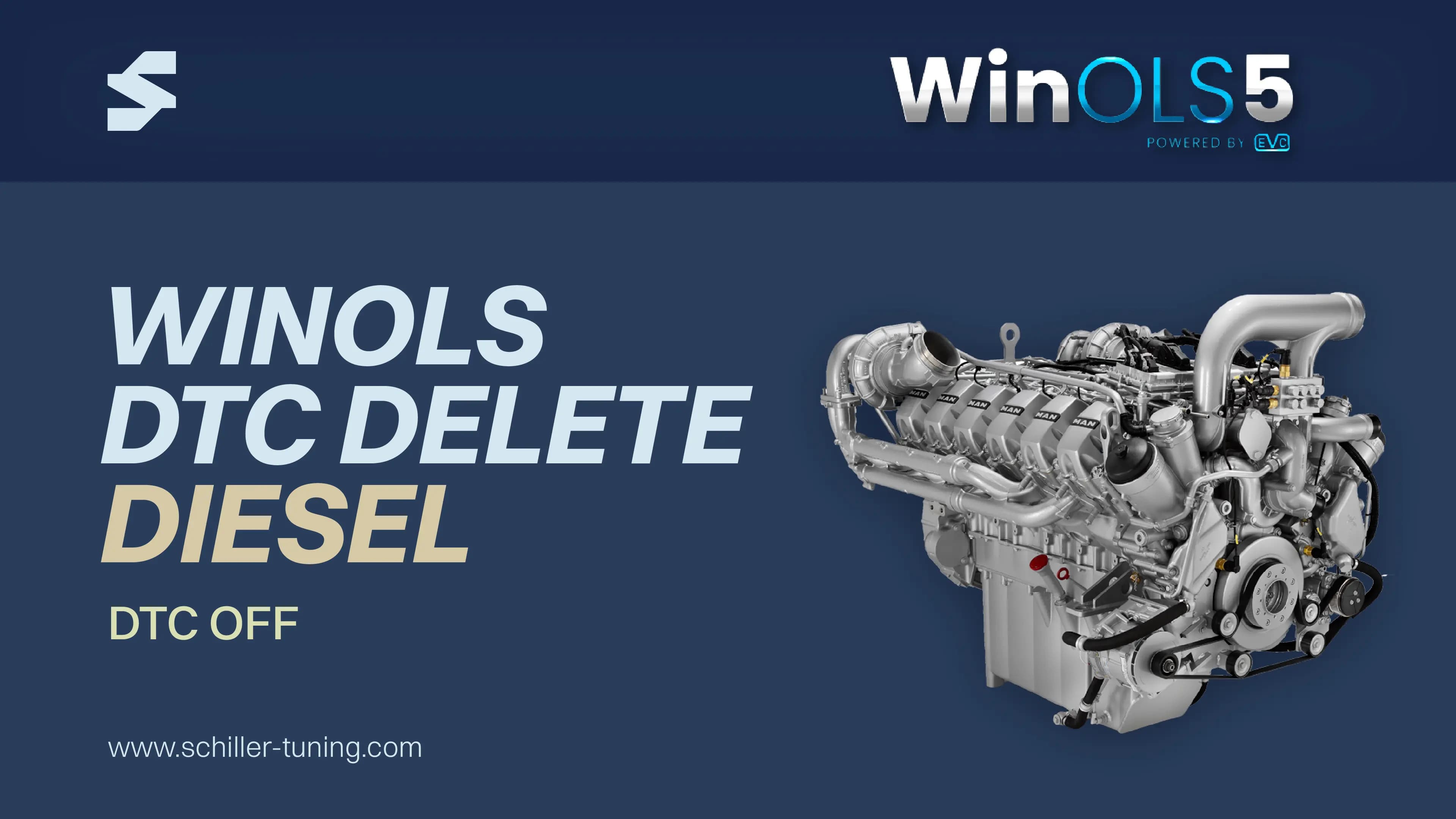 Diesel DTC Off Training Course – Learn WinOLS ECU Fault Code Deletion