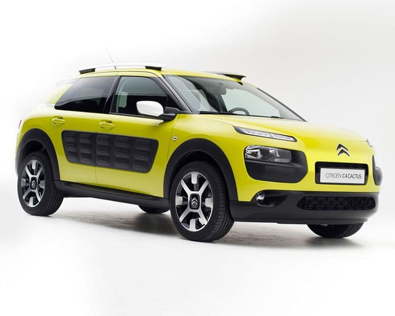 C4 Cactus