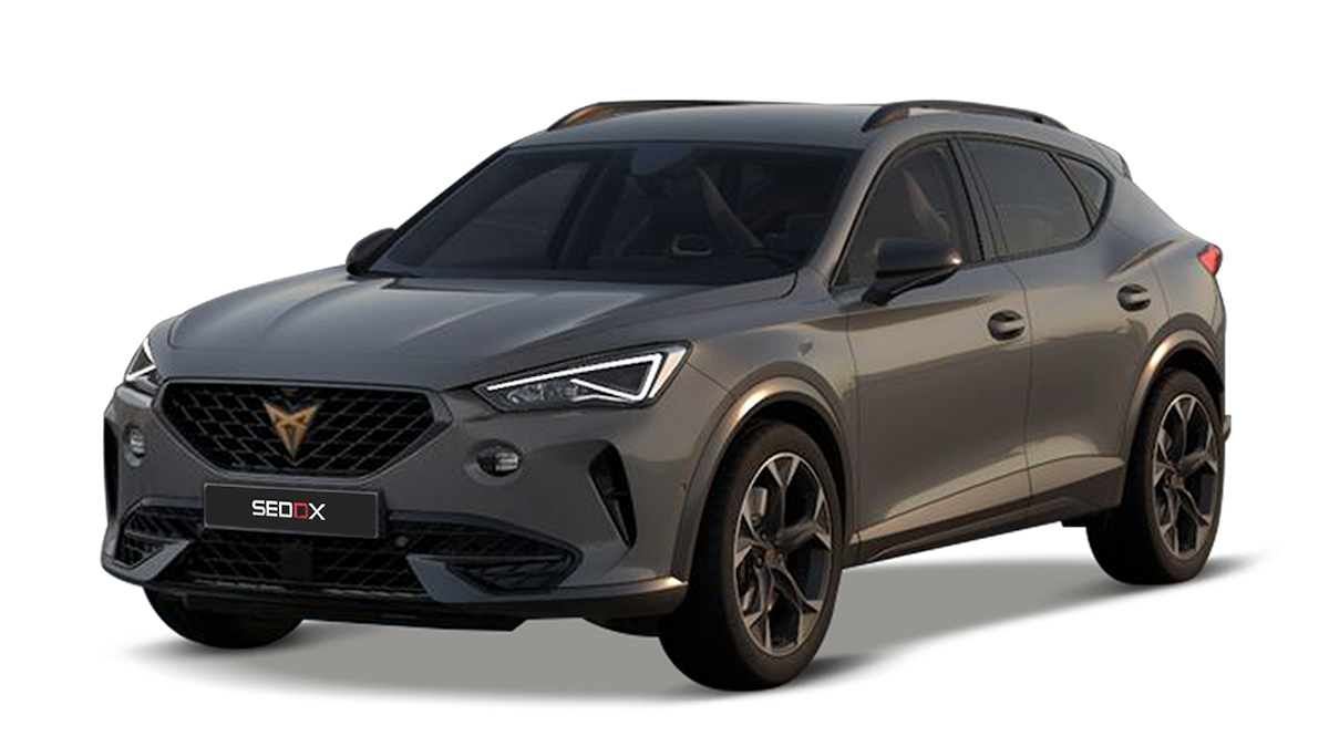 formentor ECU Tuning and Chip Tuning