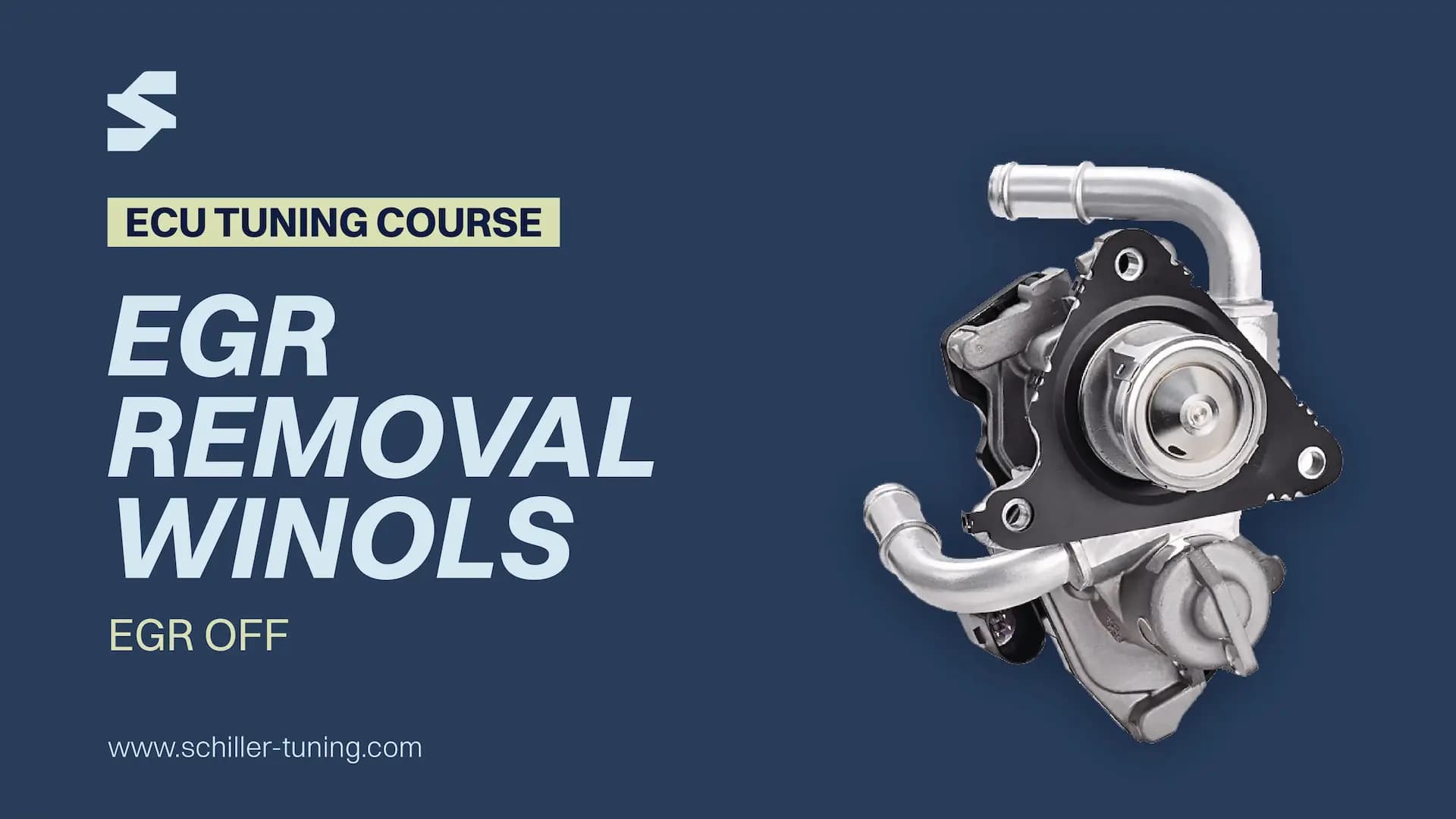 Complete EGR Delete Tutorial Using WinOLS | Bosch EDC16C34