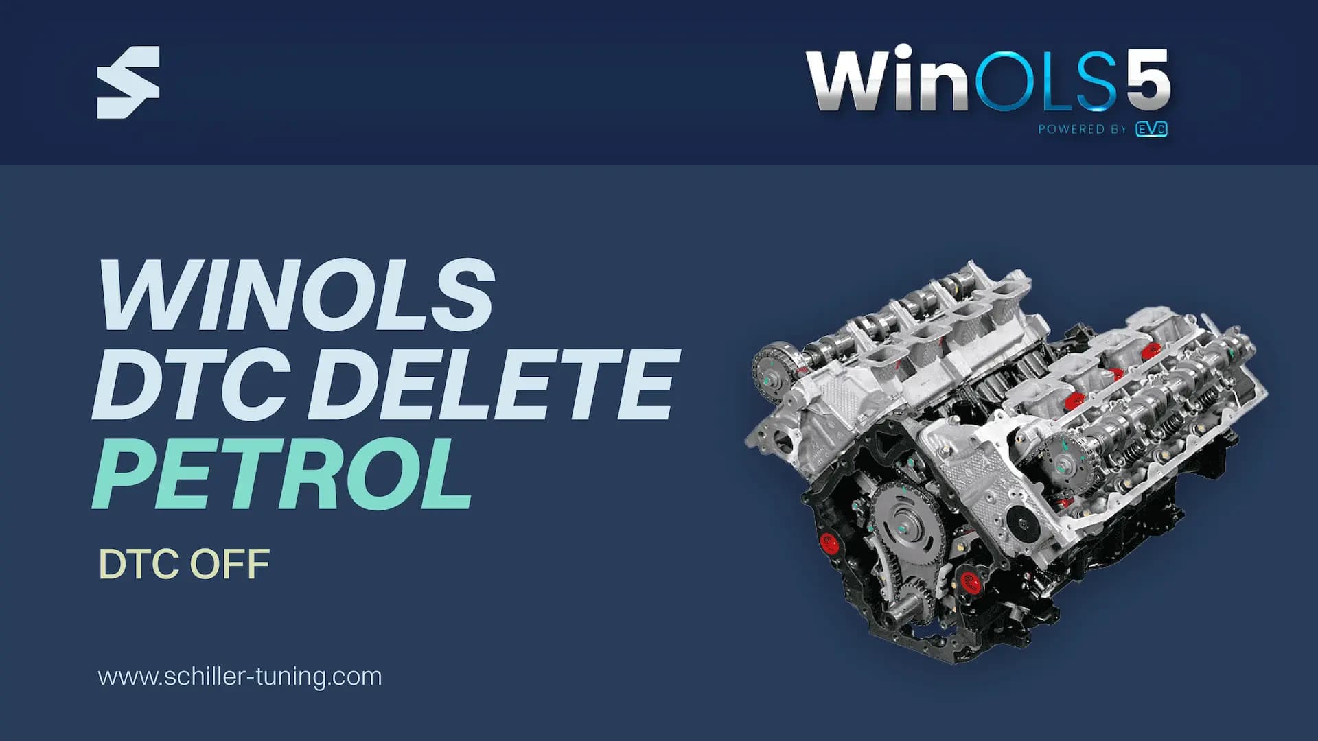 WinOLS DTC Removal/Fault Code Delete Course for Gasoline ECUs